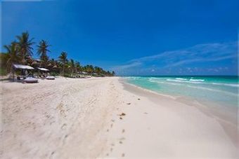 Las Ranitas Eco Boutique Hotel