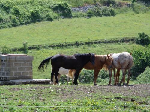 Agroturismo Agriturismo Le Prata