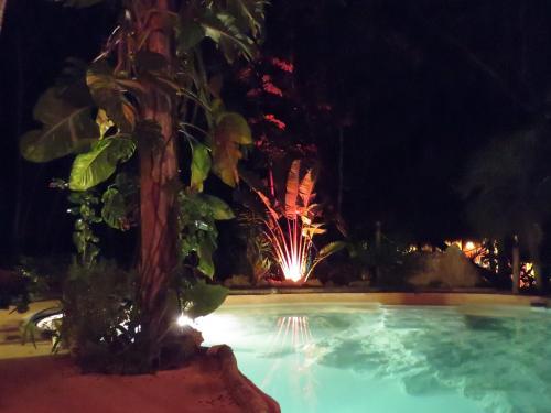 Bed & Breakfast Casa Selva Orquideas