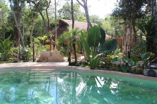 Bed & Breakfast Casa Selva Orquideas