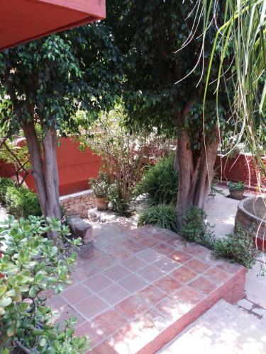 Apartamento Hospedaje El Colibri