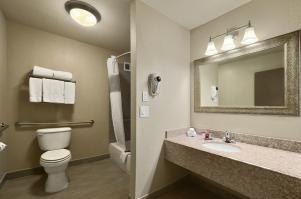Hotel Ramada Houston Intercontinental Airport South