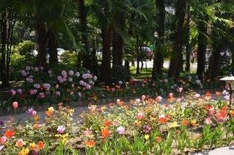 Hotel Terme Villa Piave