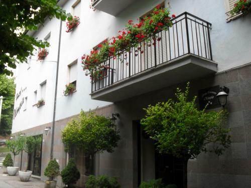 Hotel Albergo Ristorante Olimpia