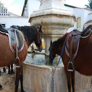 Hotel Quinta De Santo Antonio