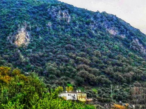 Agroturismo El Antiguo Molino