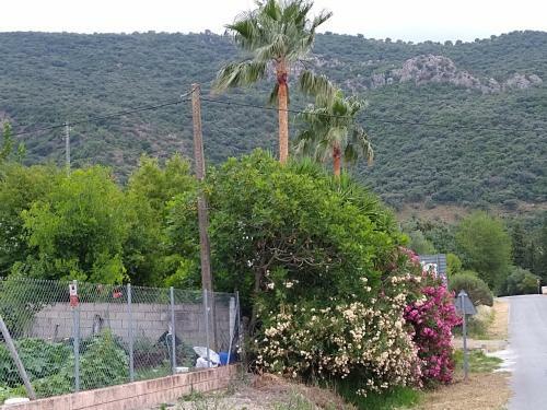 Agroturismo El Antiguo Molino