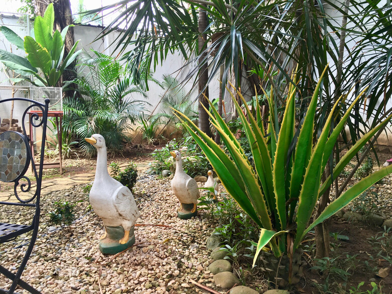 Panama House Bed & Breakfast