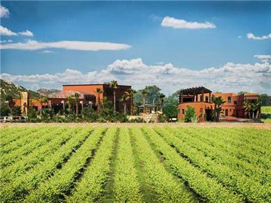 Hotel Boutique Valle De Guadalupe