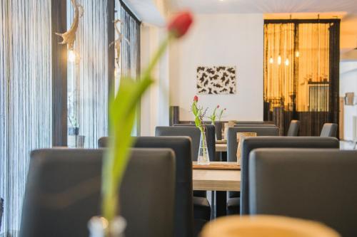 Aparthotel Hotel Residence Martell Mountains