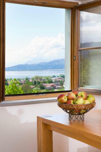 Hotel Montfort-schl�ssle