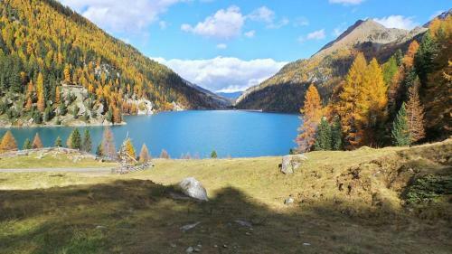 Hostal Gasthof Edelweiss