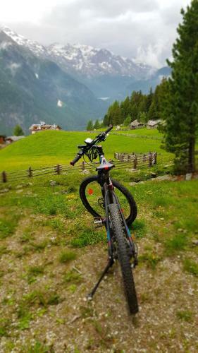 Hostal Gasthof Edelweiss