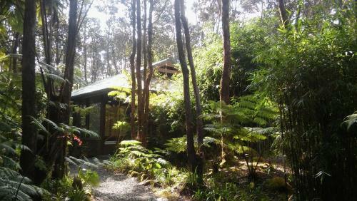 Bed & Breakfast Volcano Village Lodge