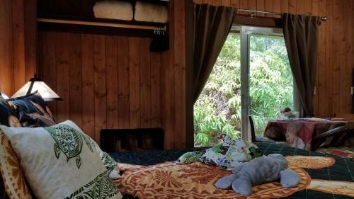 Hostal Alii Kane Cottage With Loft