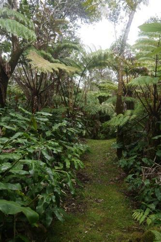 Ohana House