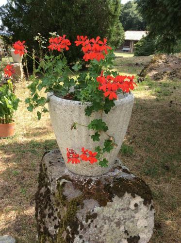 Agroturismo Agriturismo Il Morello