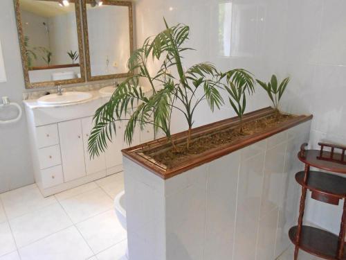 Holiday Home Iscle De Vallalta 9