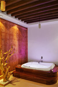 Hotel Gran Casa Sayula Galeria & Spa