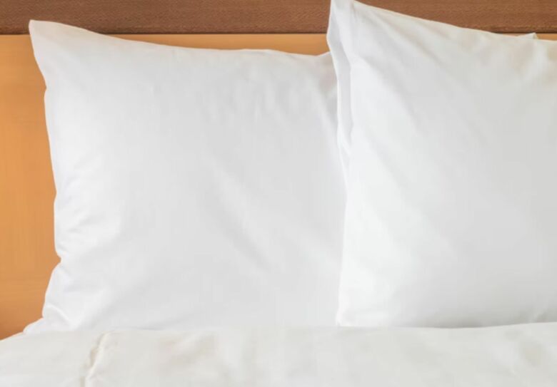 Hotel Holiday Inn Richardson
