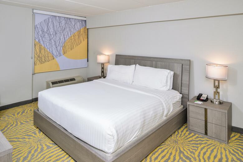 Hotel Holiday Inn Richardson