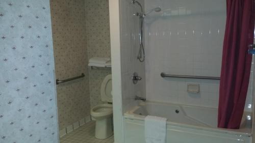 Hotel Alpine Lodge & Suites