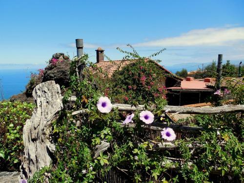 Agroturismo Finca El Lance