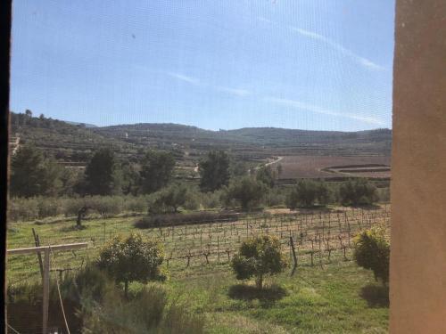 Agroturismo Casa Rural La Bodega