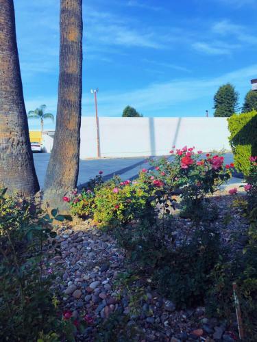 Motel Royal Inn And Suites