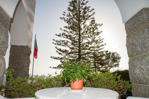 Bed & Breakfast Albergaria Vila Lido
