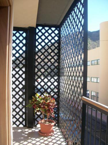 Aparthotel Triana II