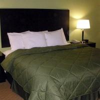 Hotel Comfort Inn Horn Lake