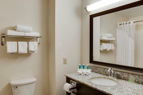 Hotel Holiday Inn Express & Suites Nevada