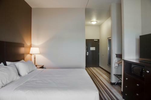 Hotel Holiday Inn Express & Suites Nevada