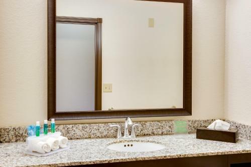 Hotel Holiday Inn Express & Suites Nevada