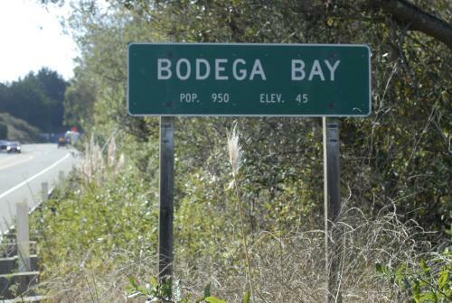 Posada Bodega Coast Inn And Suites