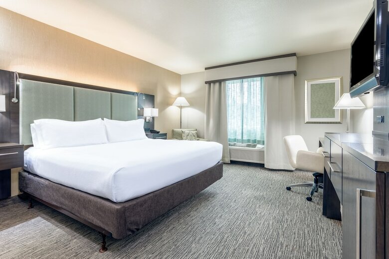 Hotel Holiday Inn Auburn