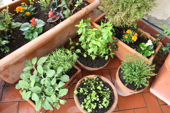 Hotel Residence Manassei