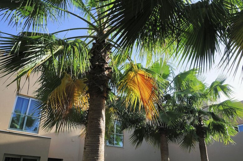 S�o Rafael Villas, Apartments & Guesthouse