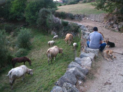 Agroturismo Casa Do Castanheiro