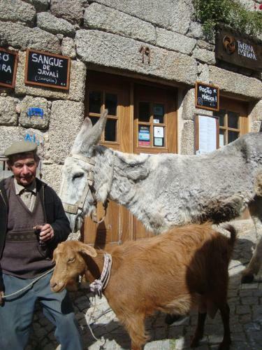 Hostal Taverna Lusitana