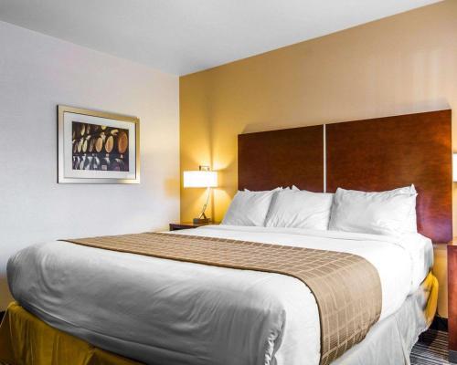 Hotel Quality Inn Martinez