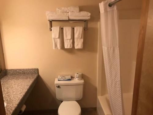 Hotel Nisqually Lodge