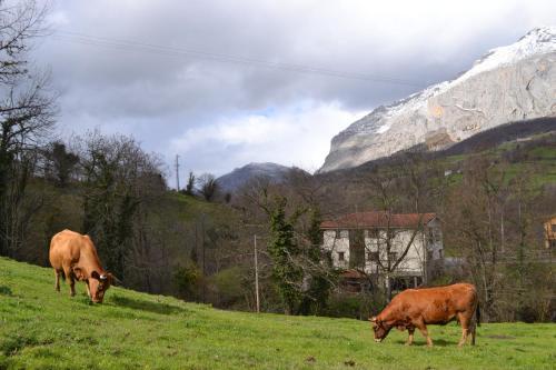 Hotel Alesga Rural