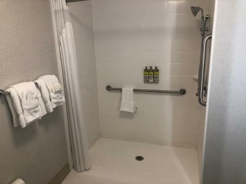 Hotel Holiday Inn Express Rochelle