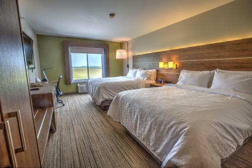 Hotel Holiday Inn Express Rochelle