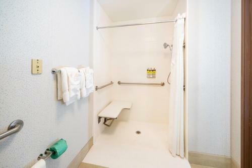 Hotel Holiday Inn Express Rochelle