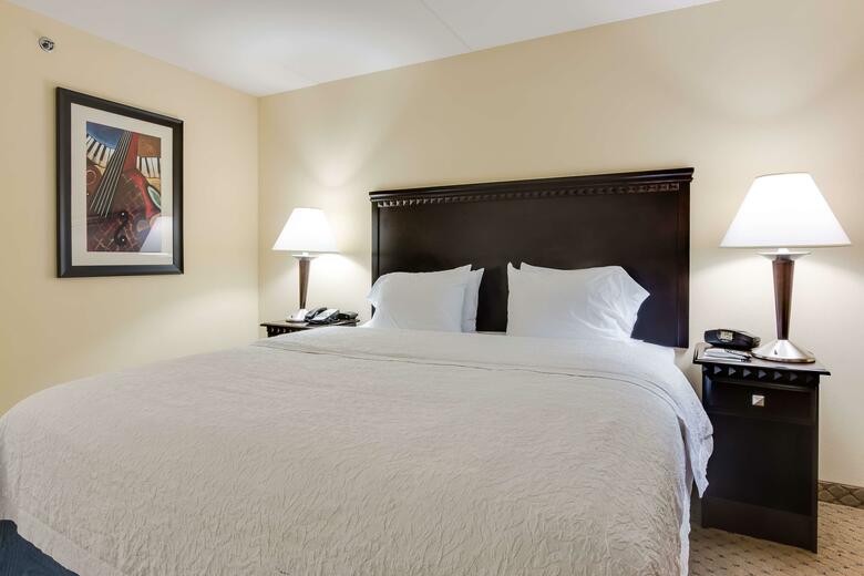 Hotel Hampton Inn & Suites Mount Juliet