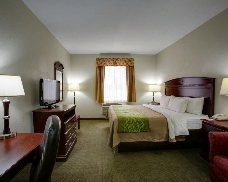 Hotel Comfort Inn Rockdale