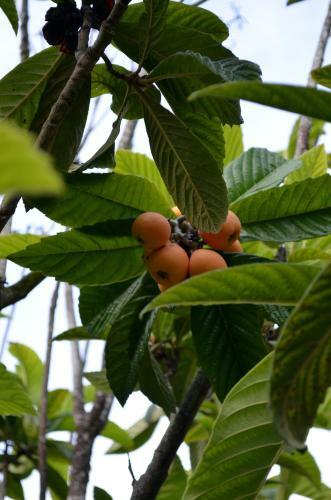 Villa De Charme Encosta Da Praia